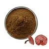 Free Sample Immunity Boost Natural Reishi Powder Mushroom Extract