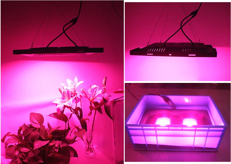 Vegetative Control Led Grow Lights Grow Panel Grow Lamps Buy Cob Led