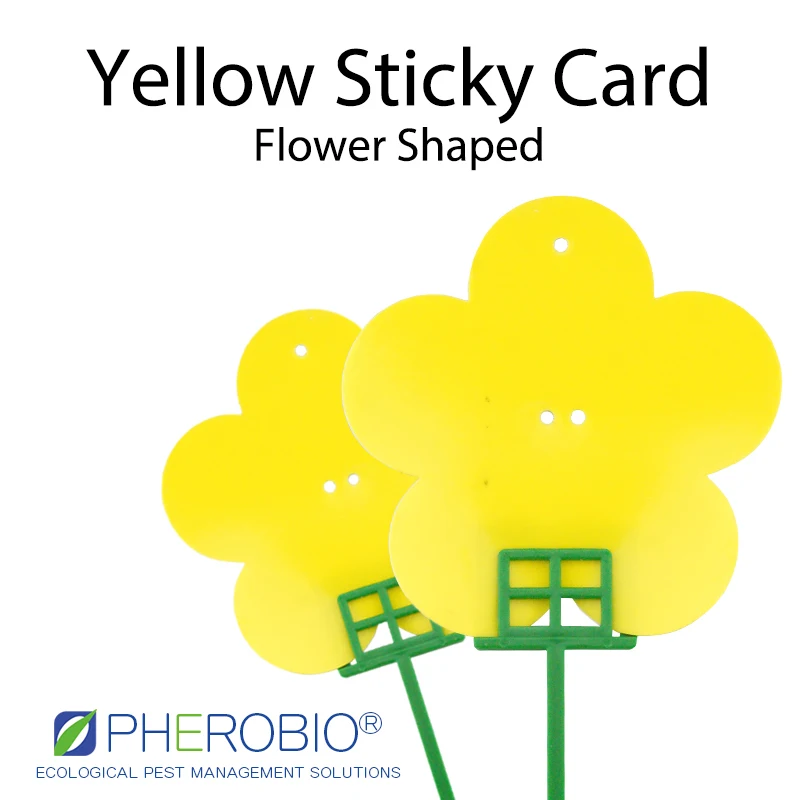 Flower Shape Pest Control Sticky Card Yellow Glue Trap