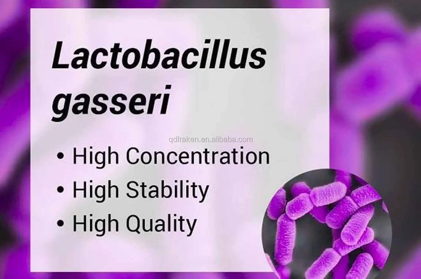 Lactobacillus-gasseri.jpg