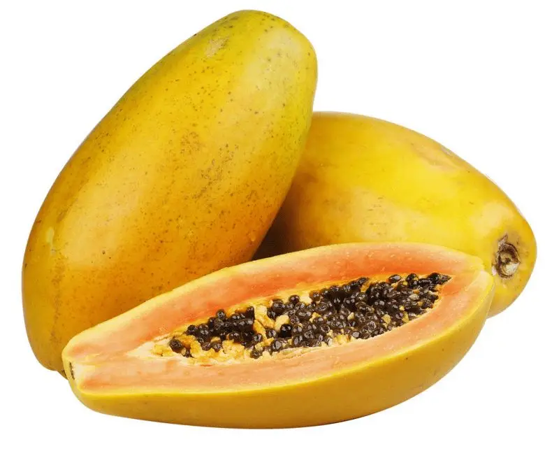 wholesale bulk price food grade enzim papain powder