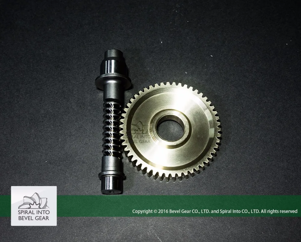 
High Quality Brass Worm Gear set for Speed Reducer 