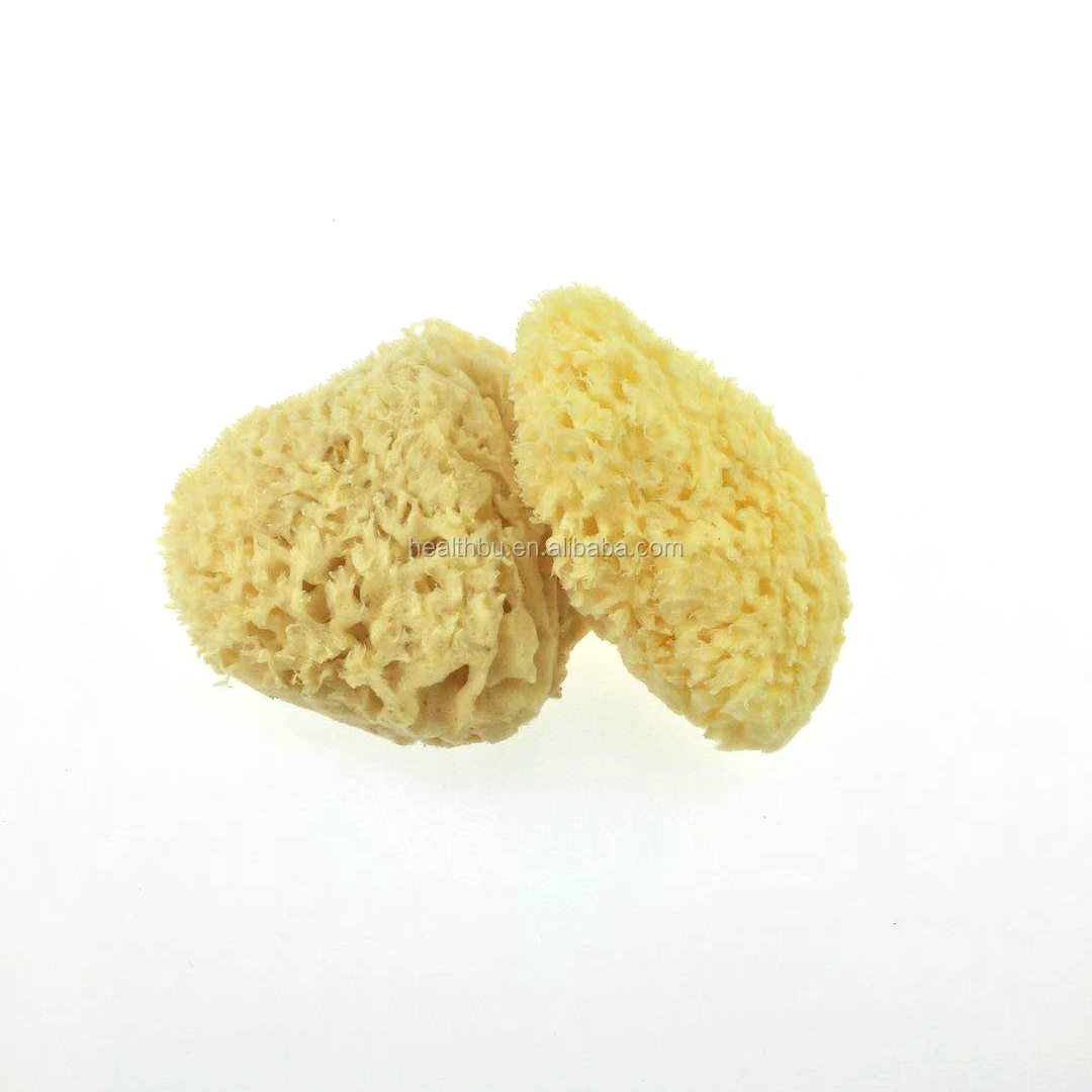 Natural Sea Sponge Decolorization Shape Bath Sponge From