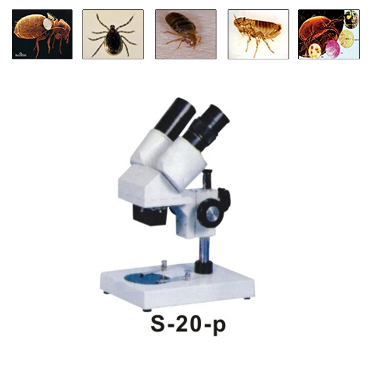 ST-20-P WINCOM Binocular Biological Stereo Microscope