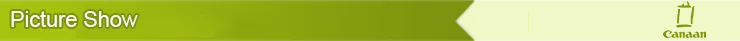 Picture Show.png