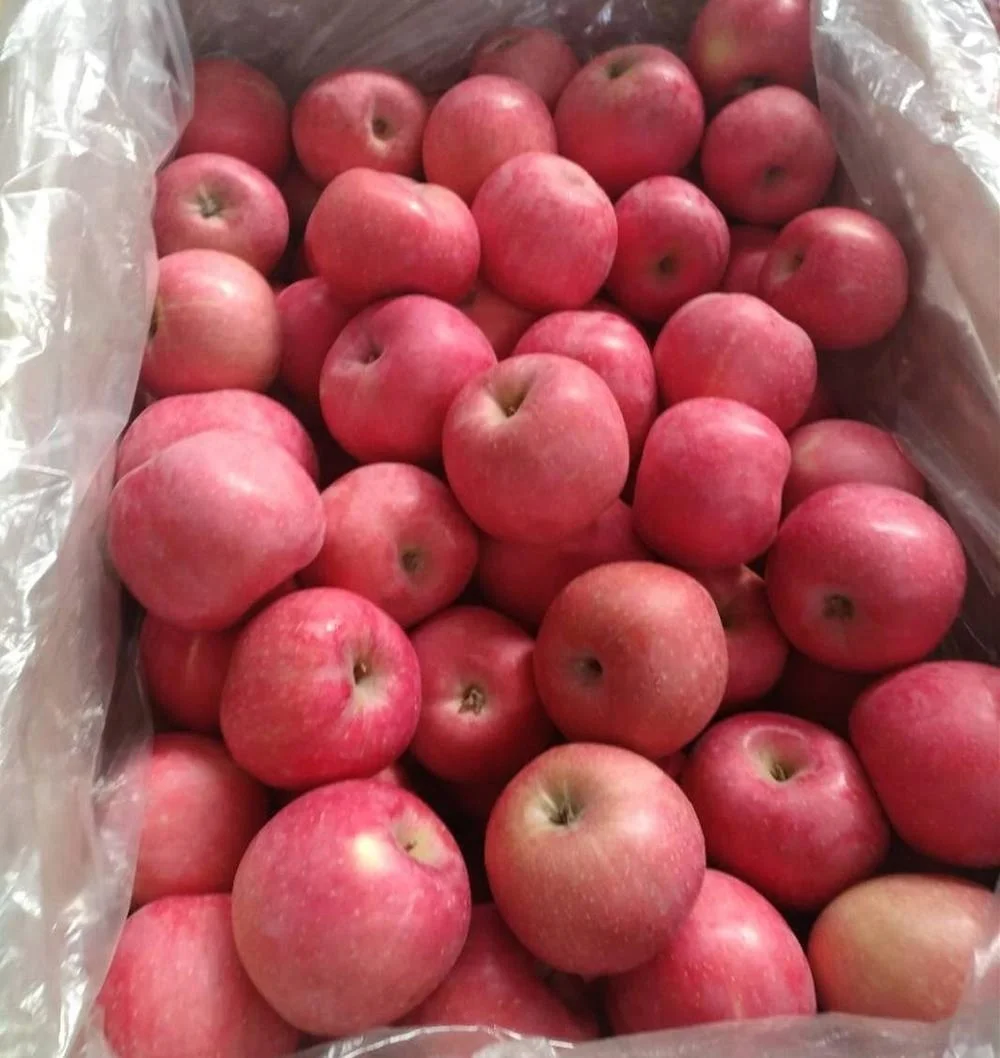 apple-fuji stock.jpg