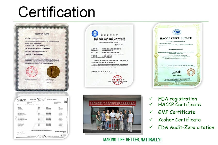 Certification.jpg