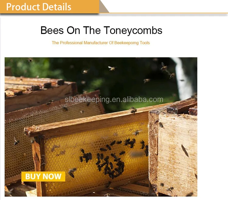 Beekeeping Equipment Tools Bee Keeping Factory Directly Supply Plastic