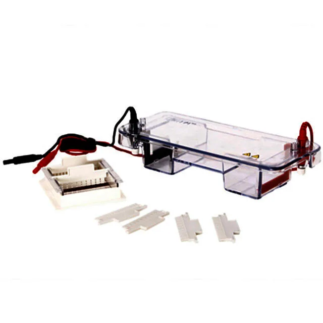 Cheap Price Laboratory Gel Electrophoresis Tank Price ELP-BT
