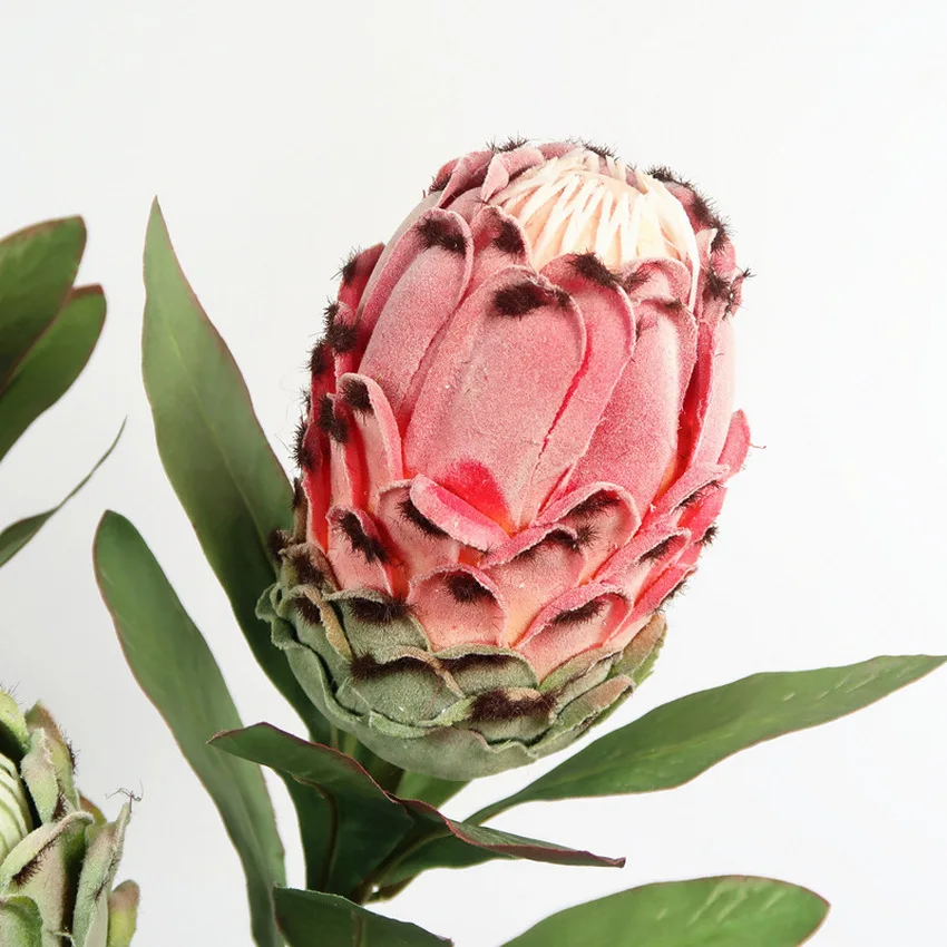 High Quality Long Stem Creative Design Flower Artificial Protea