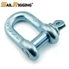 US Type Steel Drop Forged D Shackle Lifting Accessories