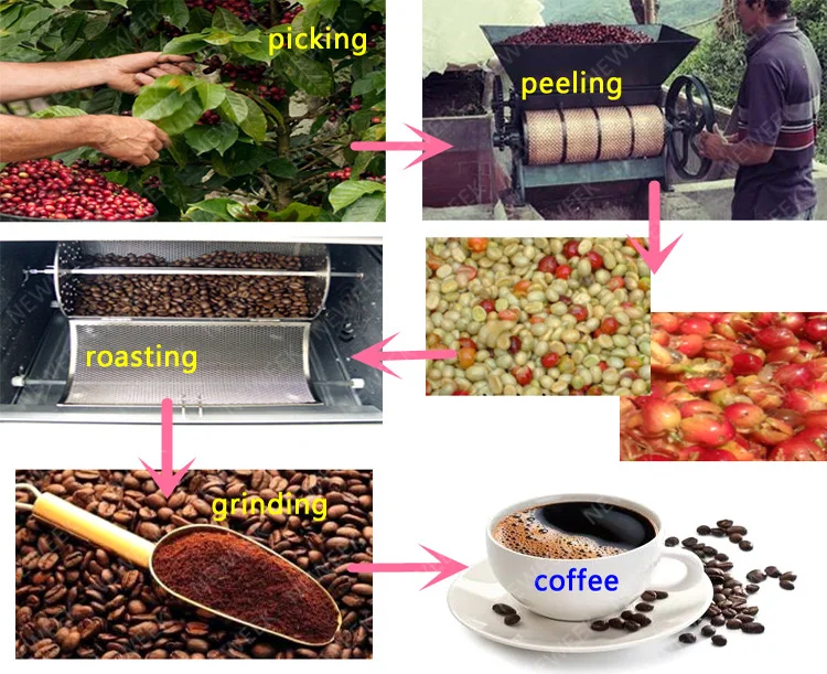 NEWEEK America market hand cacao peeling coffee bean pulper for sale