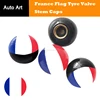/product-detail/auto-spare-parts-shopping-france-flag-wheel-tyre-air-valve-stem-dust-caps-60493951959.html