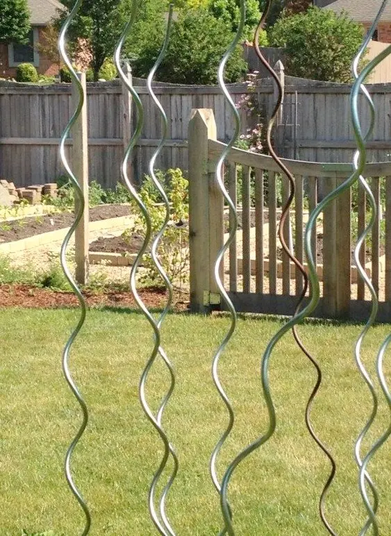 galvanized plant stakes -tomato spiral stake