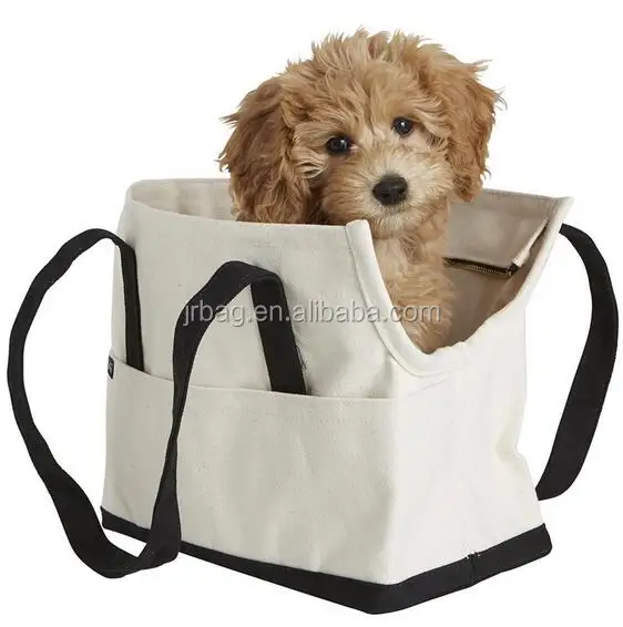 dog in the bag图片