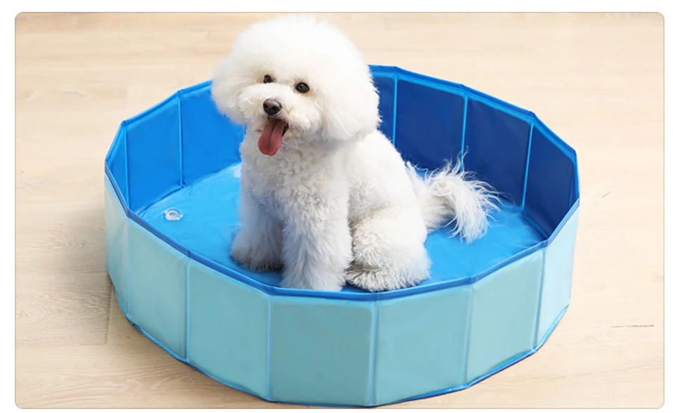 QQ20190612225237.png