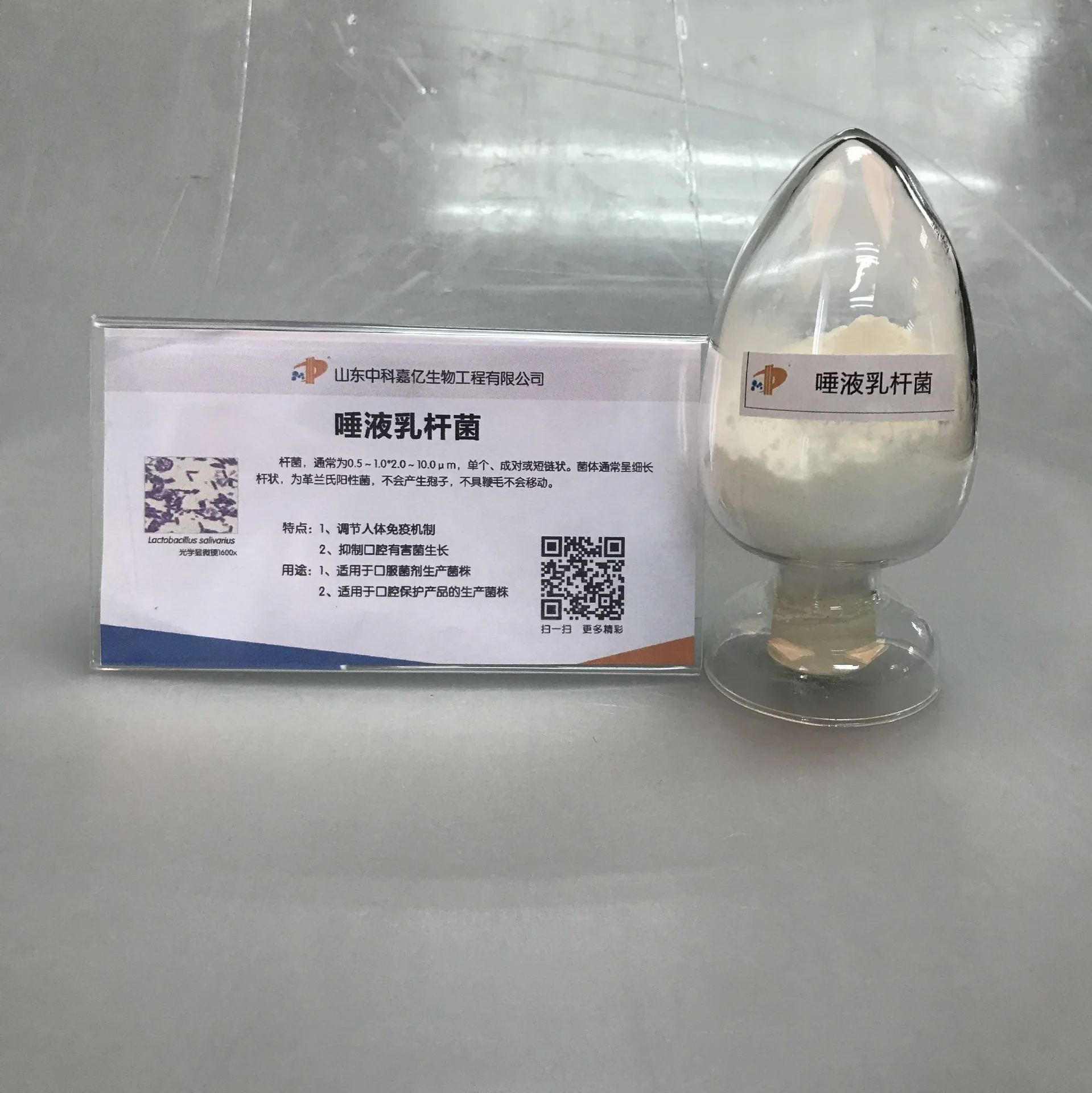 
ISO Probiotics Powder Yogurt Flavor Bifidobacterium Breve 