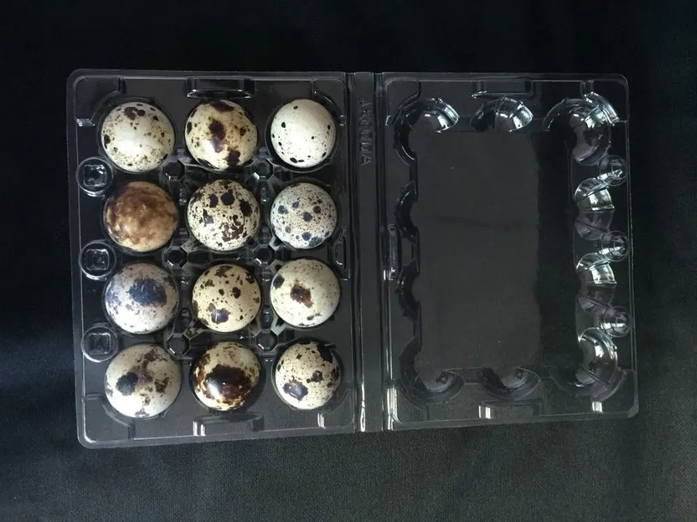 
PVC plastic quail egg packing tray /plastic box packaging for 12/24/30 quail eggs 