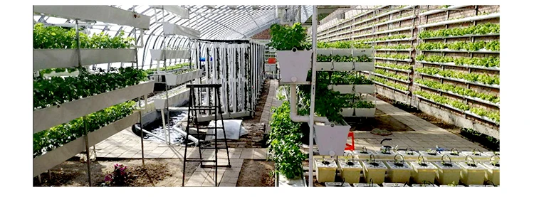 aquaponics system (9).jpg
