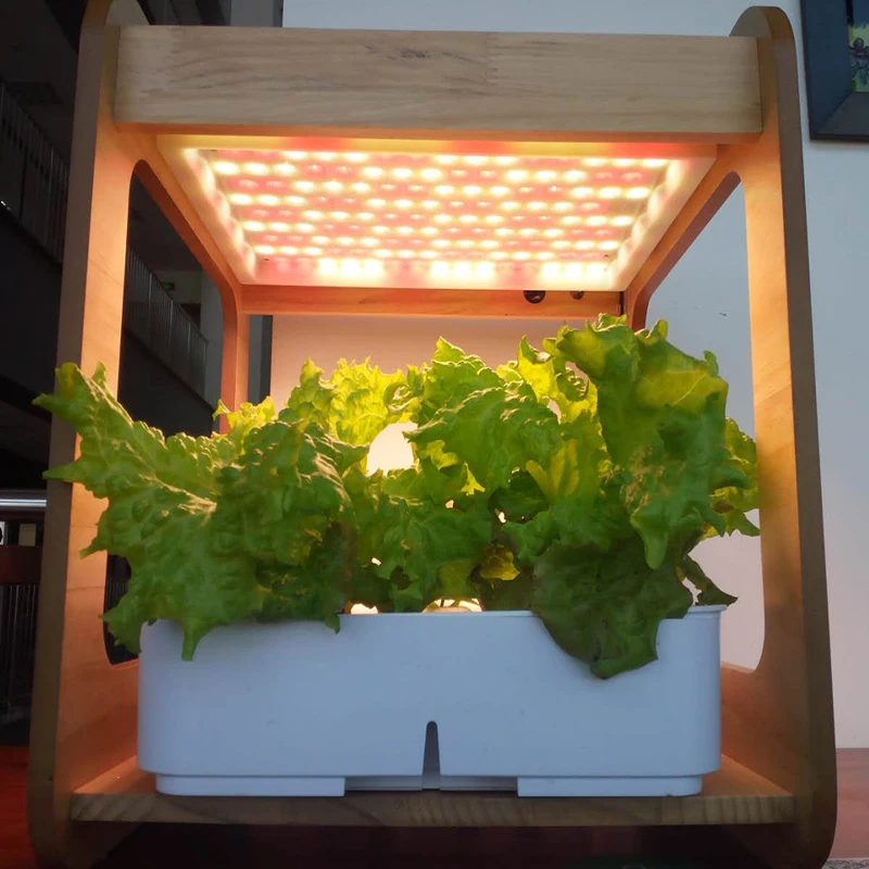 Mini-portable-wood-hydroponic-farming-systems-24w