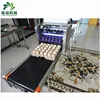 Engineer recommend Automatic Egg Printer/Egg ink jet Printer/eggs continuous ink jet printer