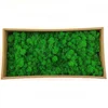 Perfect Home Accessories Decoration Home Decor Moss Wall Decoration Preserved Stabilized Reindeer Moss