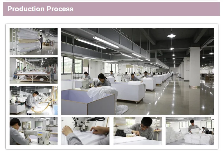 Production Process