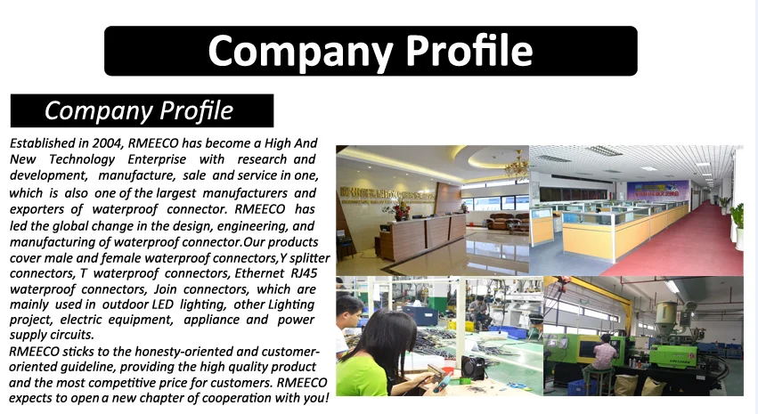 company profile1.png