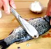 Kitchen Tool Cleaning Fish Skin Scraper / Stainless Steel Fish Scales Brush / fish Scraper