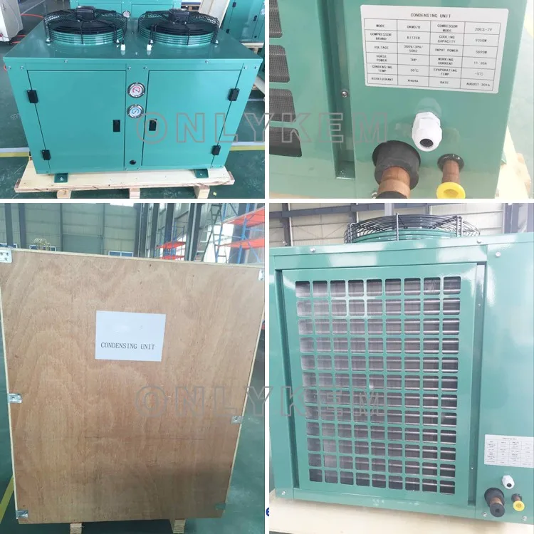 Freezer Compressor Cold Room Bitzer Condensing