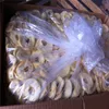 wholesale all kinds of dried fruits dehydrated apple ring