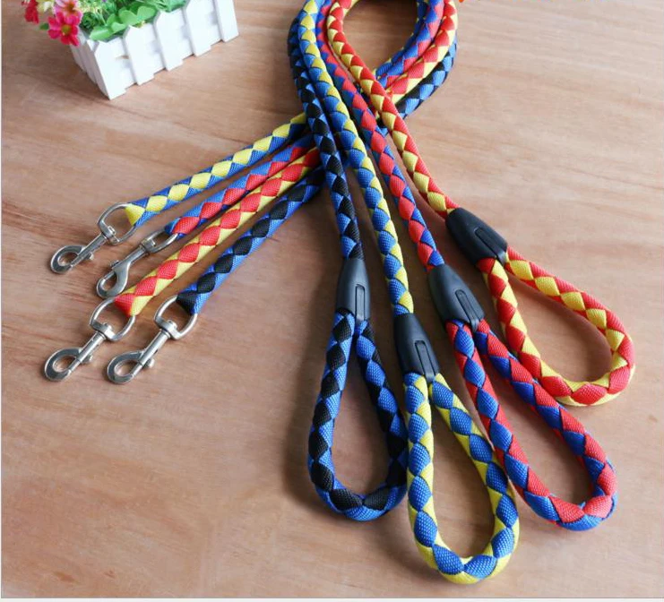 best dog leads