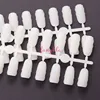 2018new 120 one size shell shape nail display tips