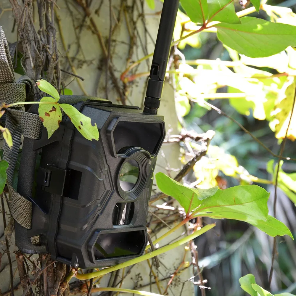 Mms Gsm Wireless Hidden Trap Game Infrared 3g Hunting Trail Camera