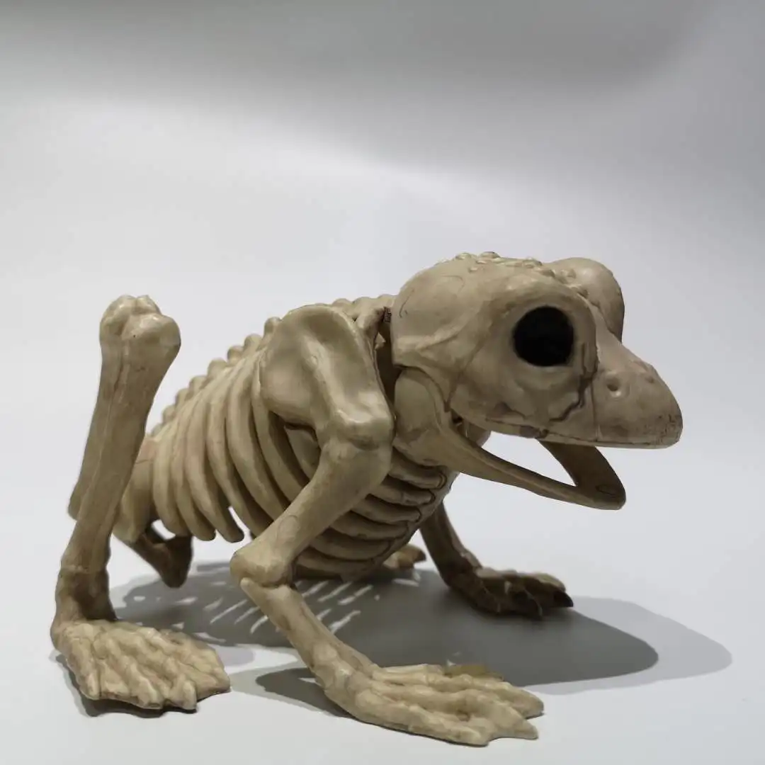 animal skeleton toys