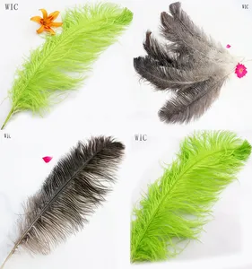 price of ostrich feathers