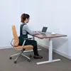 Height Adjustable Study Standing Electric Modern Lifting Office Sit Stand Desk