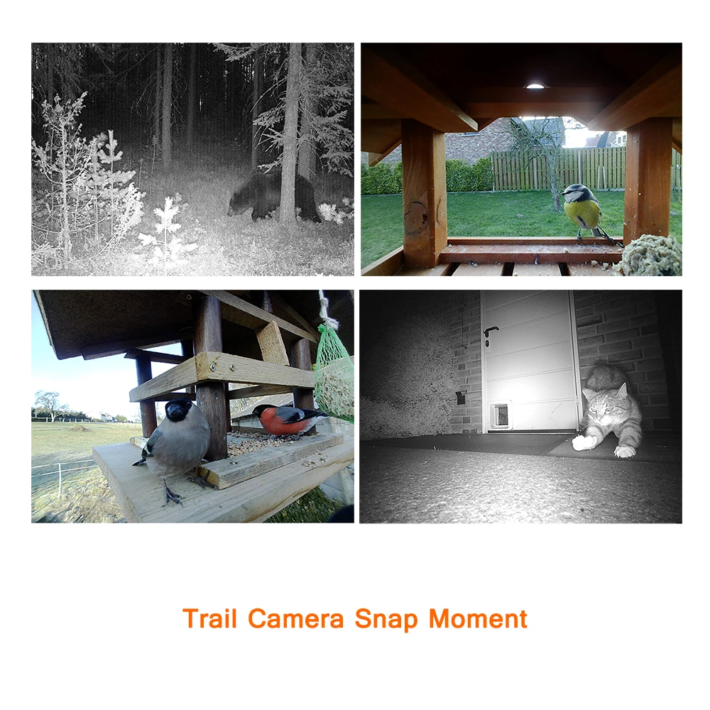 
Willfine 4.0CG MMS GSM 4G LTE cellular hunting camera 16MP spy wireless trail camera 