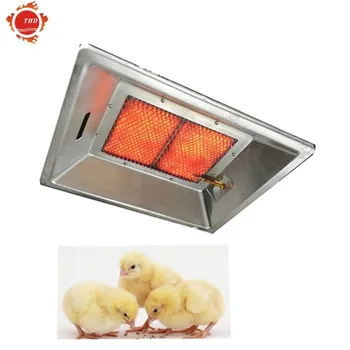 Ce Infrared Poultry Gas Brooder For Farming Thd2606 - Buy Gas Brooder ...