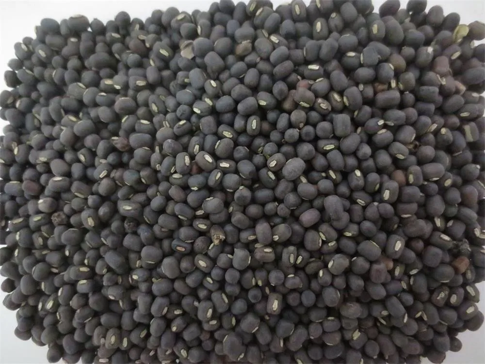 Black gram dal mill.JPG