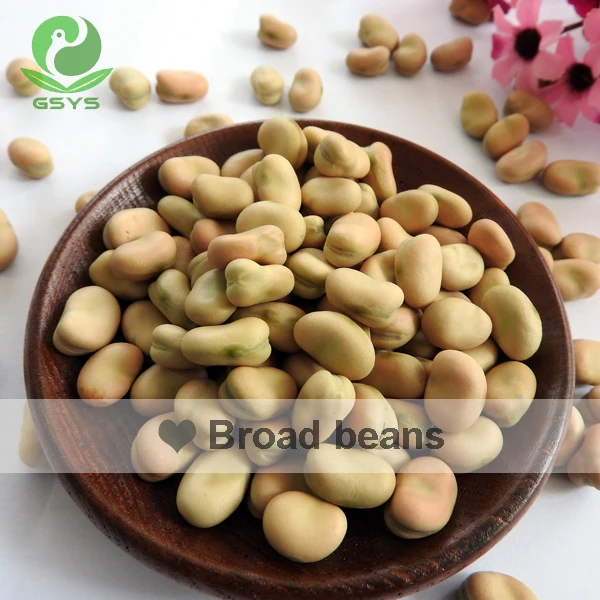 
Hot Sale Horse Bean Bean Babas Wholesale 