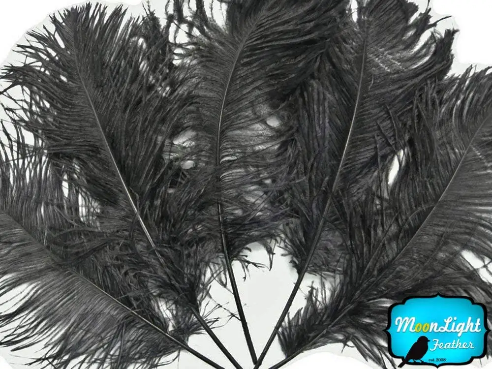 large black ostrich feathers