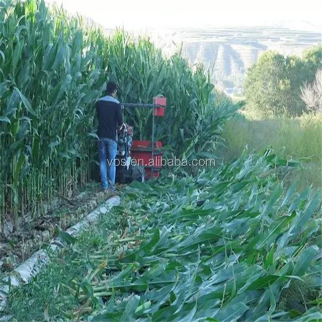 corn repaer  (3)