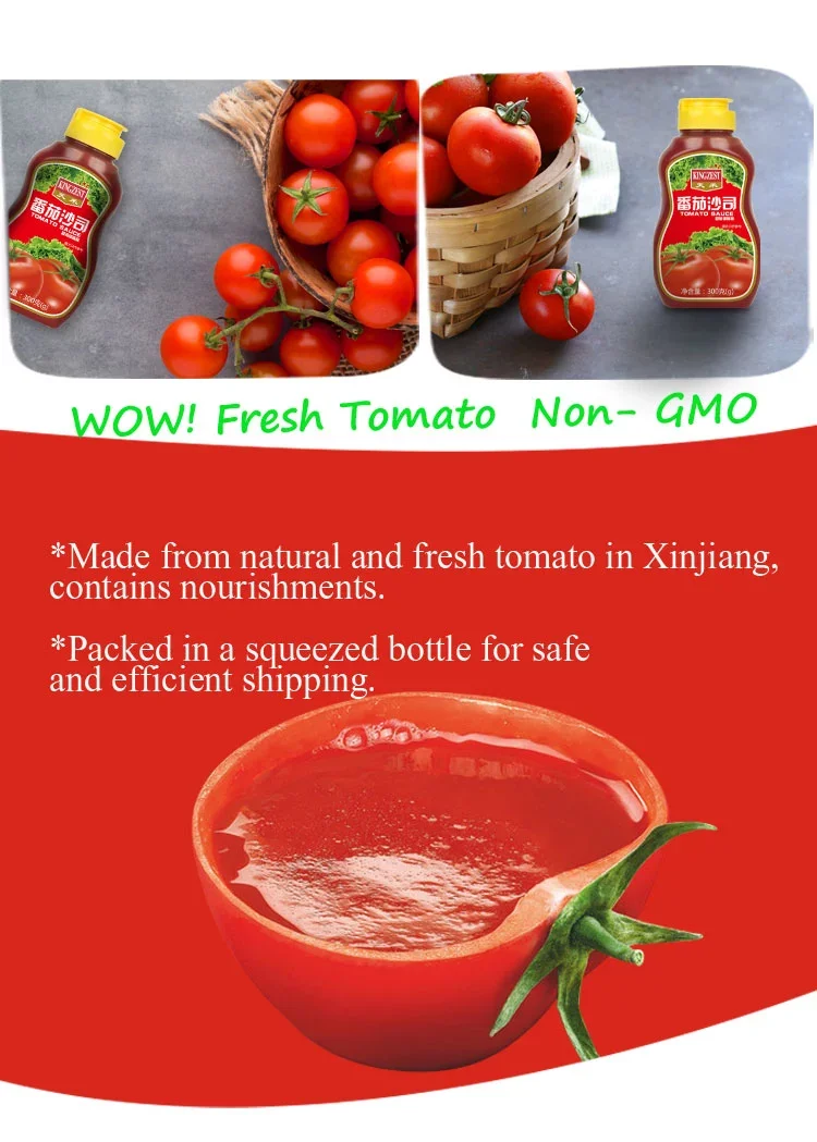 HACCP ISO 22000 HALAL FDA certification 300g tomato paste,Kenya TOMATOES PASTE price supplier