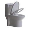 High Efficiency Dual Flush One Piece Toilet with Soft Closing Seat