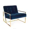 Simple design Modern comfortable single sofa chairs, Metal frame furniture living room sofa, Furniture living room sofa luxury