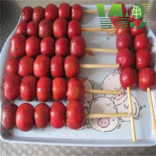 u=3125779343,497709916&fm=11&gp=0