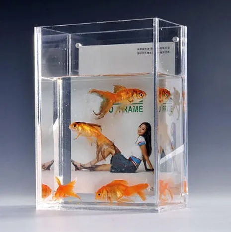 Acrylic fish tank (FT-001).jpg
