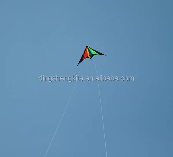 stunt kite8.jpg