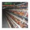 /product-detail/animal-husbandry-chicken-cage-equipment-for-poultry-farm-60626261612.html